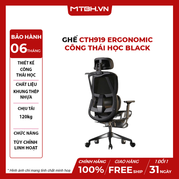 Ghế CTH919 Ergonomic Công Thái Học Black
