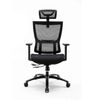 GHẾ WARRIOR WEC506 ERGONOMIC HERO SEIRIES CÔNG THÁI HỌC BLACK