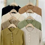  8 màu + Vải Đẹp Loại 1 - ÁO POLO Len dệt kim dài tay Tôn Dáng Korean Style  – A179 