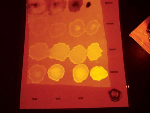  Nguồn sáng hình sự CS-16-500-15F - HORIBA SCIENTIFIC 