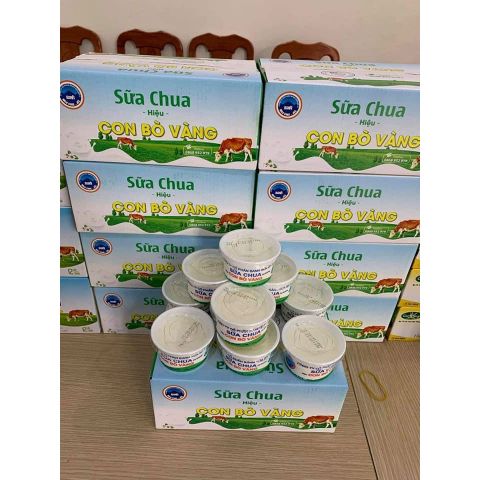  Sữa chua ba vì 