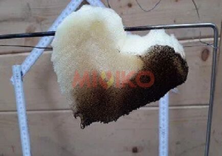 FLAMESOFT: Fire-Retardant Coating for SPONGE Foam