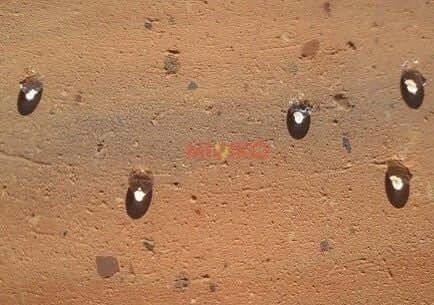 H7: Superhydrophobic impregnation for building materials