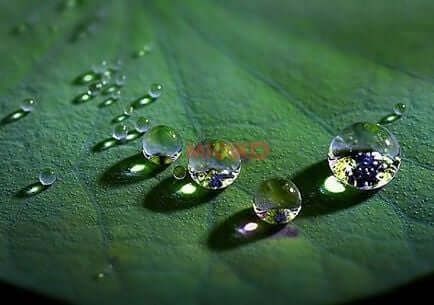 H7: Superhydrophobic impregnation for building materials