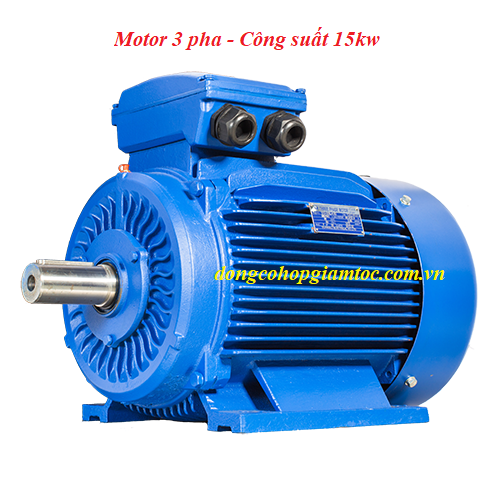 Mô tơ điện 3 pha 15kw kiểu chân đế chất lượng