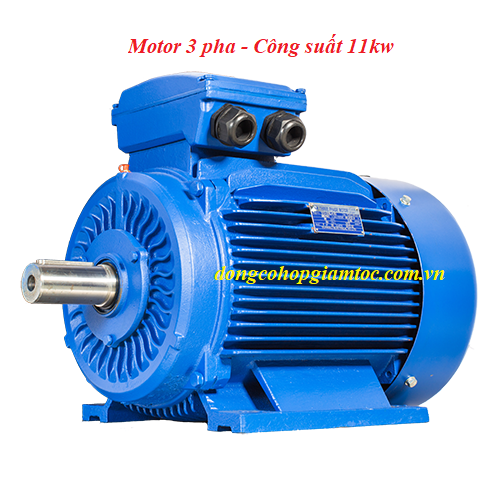 Giá Mô tơ điện 3 pha 11kw kiểu chân đế