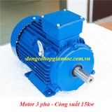 Cung cấp Mô tơ điện 3 pha 15kw kiểu chân đế