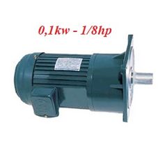 Motor giảm tốc mặt bích 0,1Kw 1/8Hp