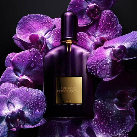  Nước hoa Tom Ford Velvet Orchid EDP 
