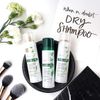 Dầu Gội Khô Klorane Dry Shampoo Dành Cho Tóc Dầu 150ml