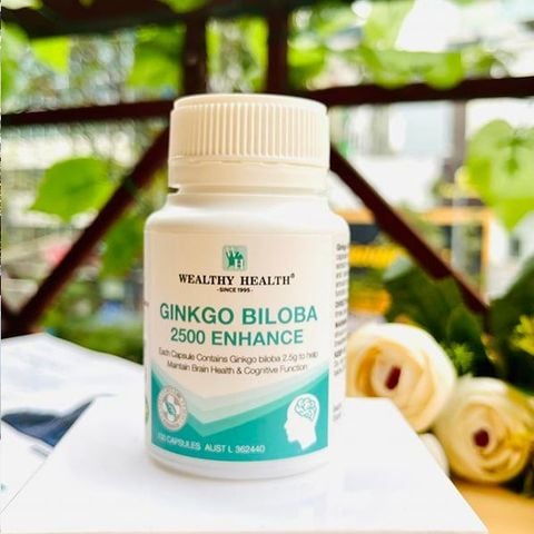  Bổ Não Ginko Biloba 2500 Enhance Wealthy Health 