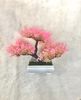 Cây Nhựa Bonsai Hồng