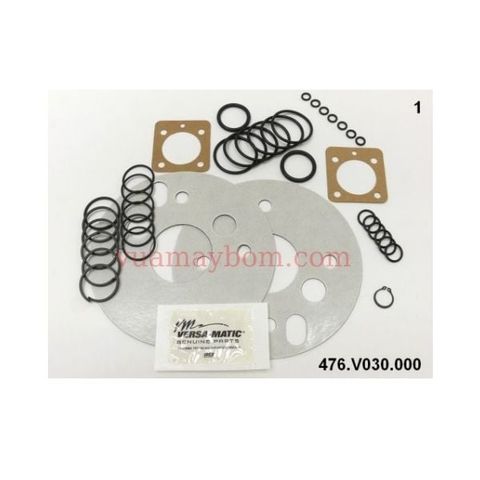 Air valve kit 476-V030-000