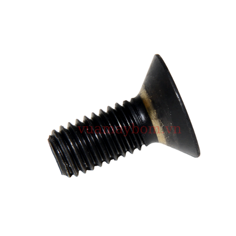 Flat socket head bolt 683812