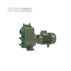 Bơm trục ngang 2 tầng cánh Saer IR50-160NC