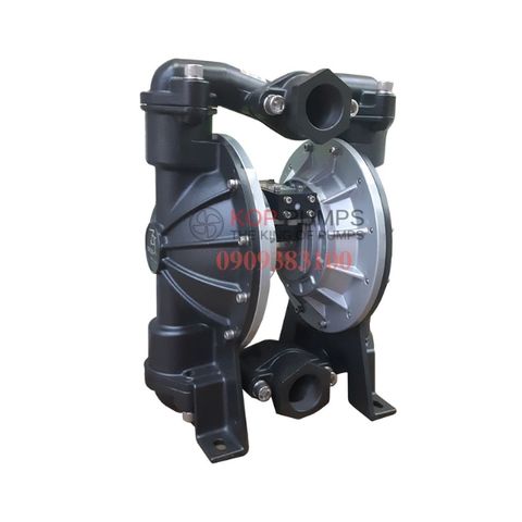 Bơm màng TDS DS20-AAT-TATS-02