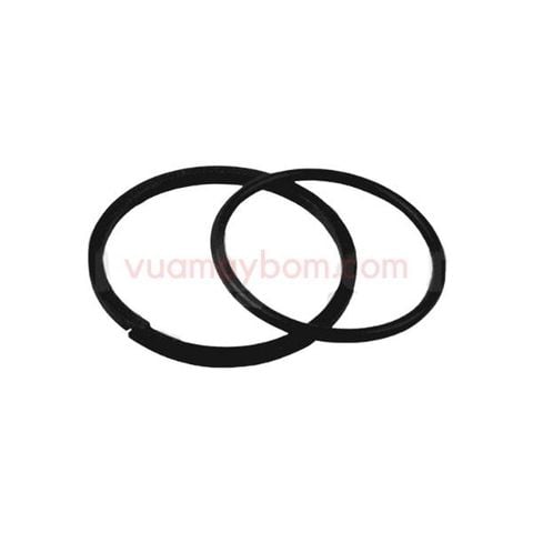 Glyd Ring Assy P34-204F