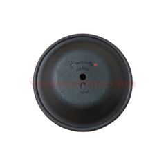 Màng Bơm Wilden 02-1010-52