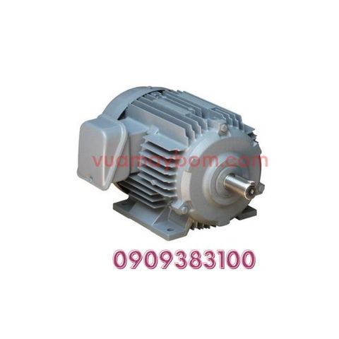 Motor điện Hitachi 220V - 3 pha