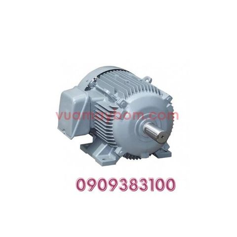 Motor điện Hitachi 380v - 3 pha