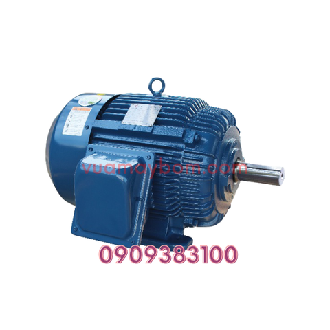 Motor điện Hyosung 60HZ