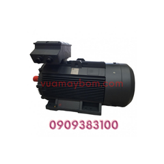 Motor điện QM 160 kw - 960 vòng/phút