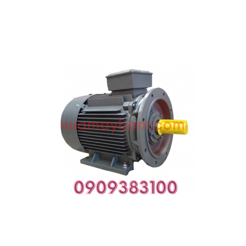 Motor điện QM 75 kw chân đế mặt bích 3 pha