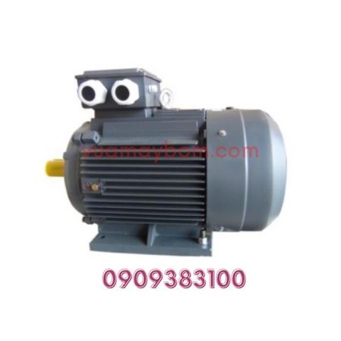 Motor điện QM Y3-250M-6