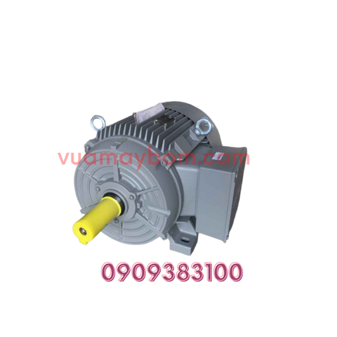 Motor điện Siemens 30 kw - 1450 vòng/phút