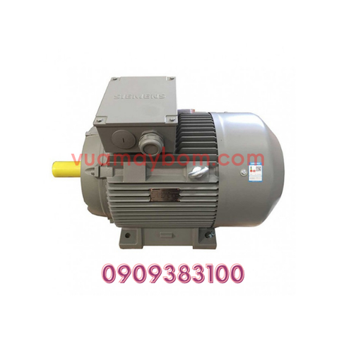 Motor điện Siemens 75 kw - 2850 vòng/phút