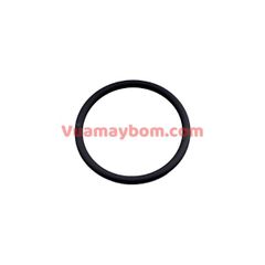 O-Rings G029