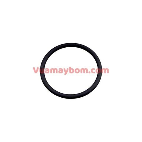 O-Rings G090