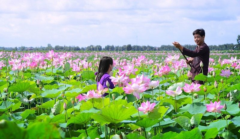 Lắp internet Viettel Đồng Tháp giá cáp quang chỉ từ 180k
