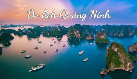 Lắp internet Viettel Quảng Ninh giá cáp quang chỉ từ 180k