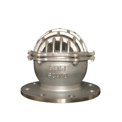 Rọ bơm công nghiệp, inox 304, PN16, nối bích