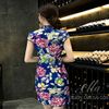 SX  mẫu đơn nhủ kim xanh bích