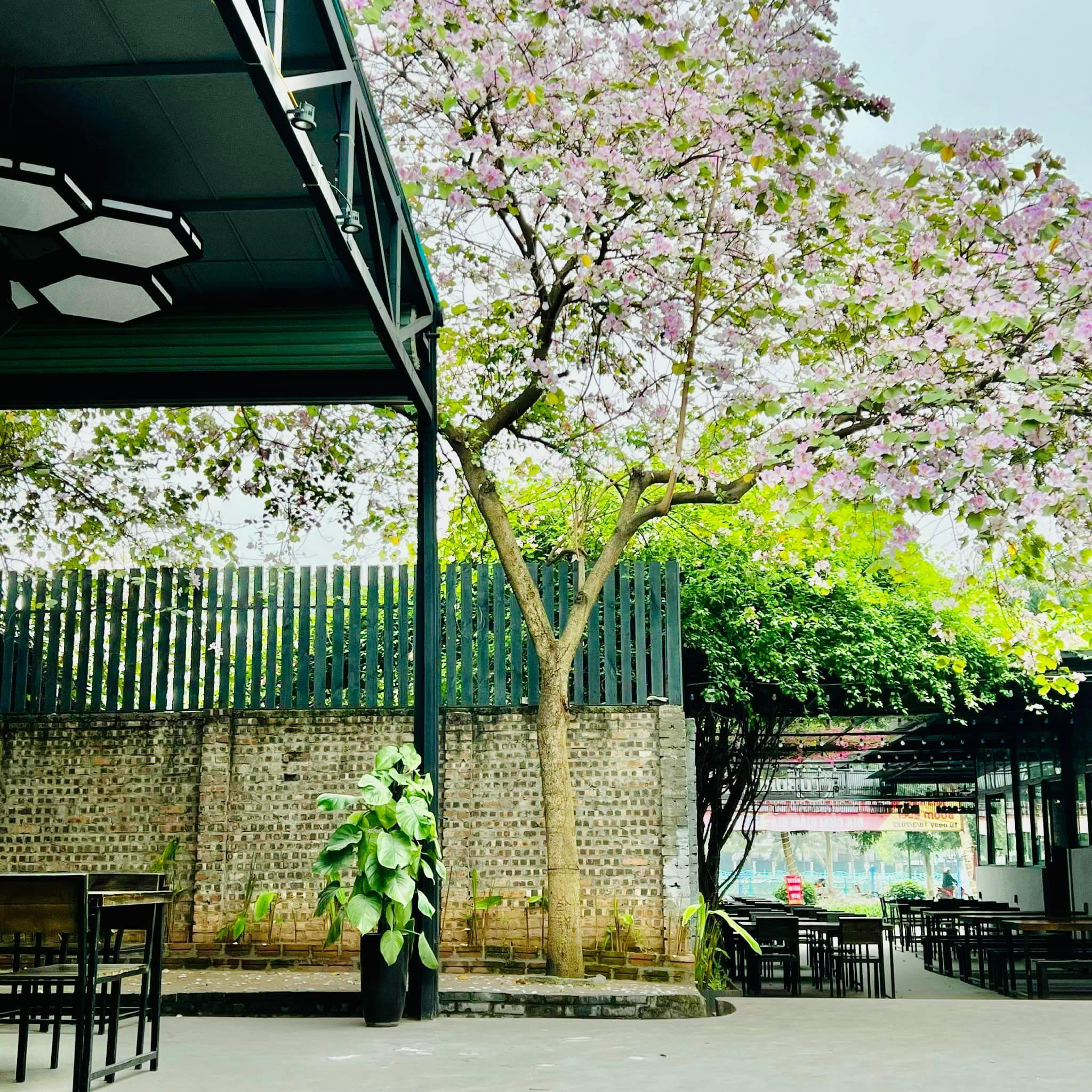 Boom Beer - 51 Bờ Hồ Bún Xáng