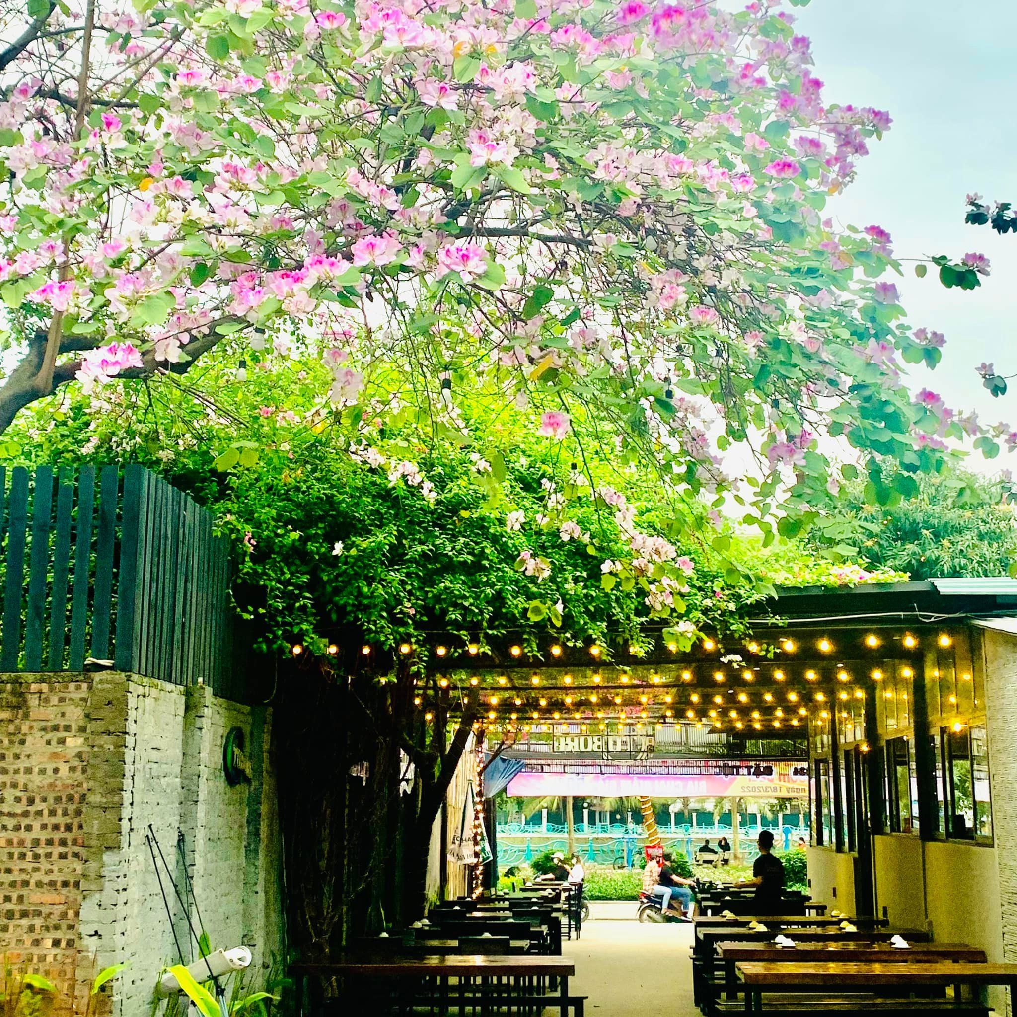 Boom Beer - 51 Bờ Hồ Bún Xáng