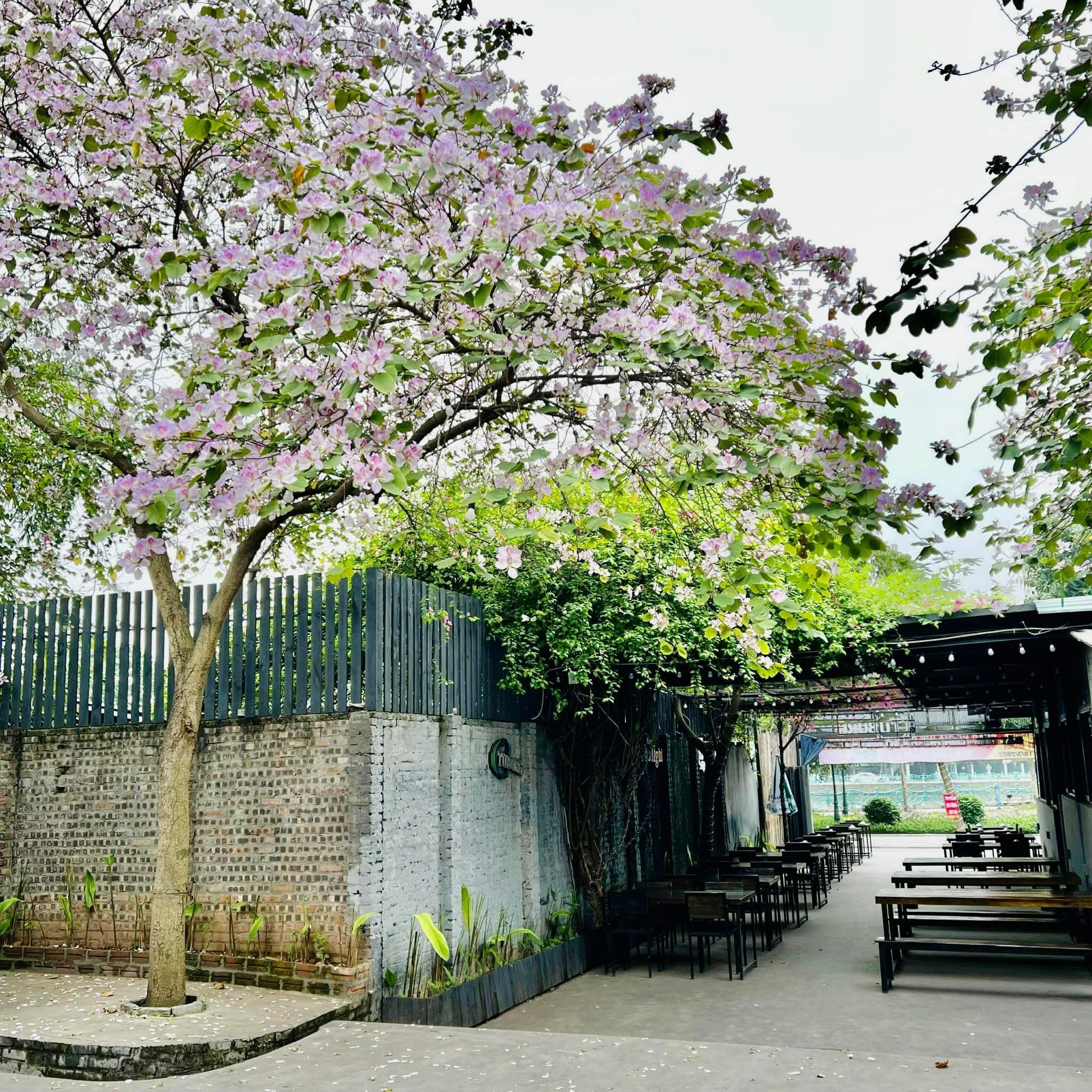 Boom Beer - 51 Bờ Hồ Bún Xáng