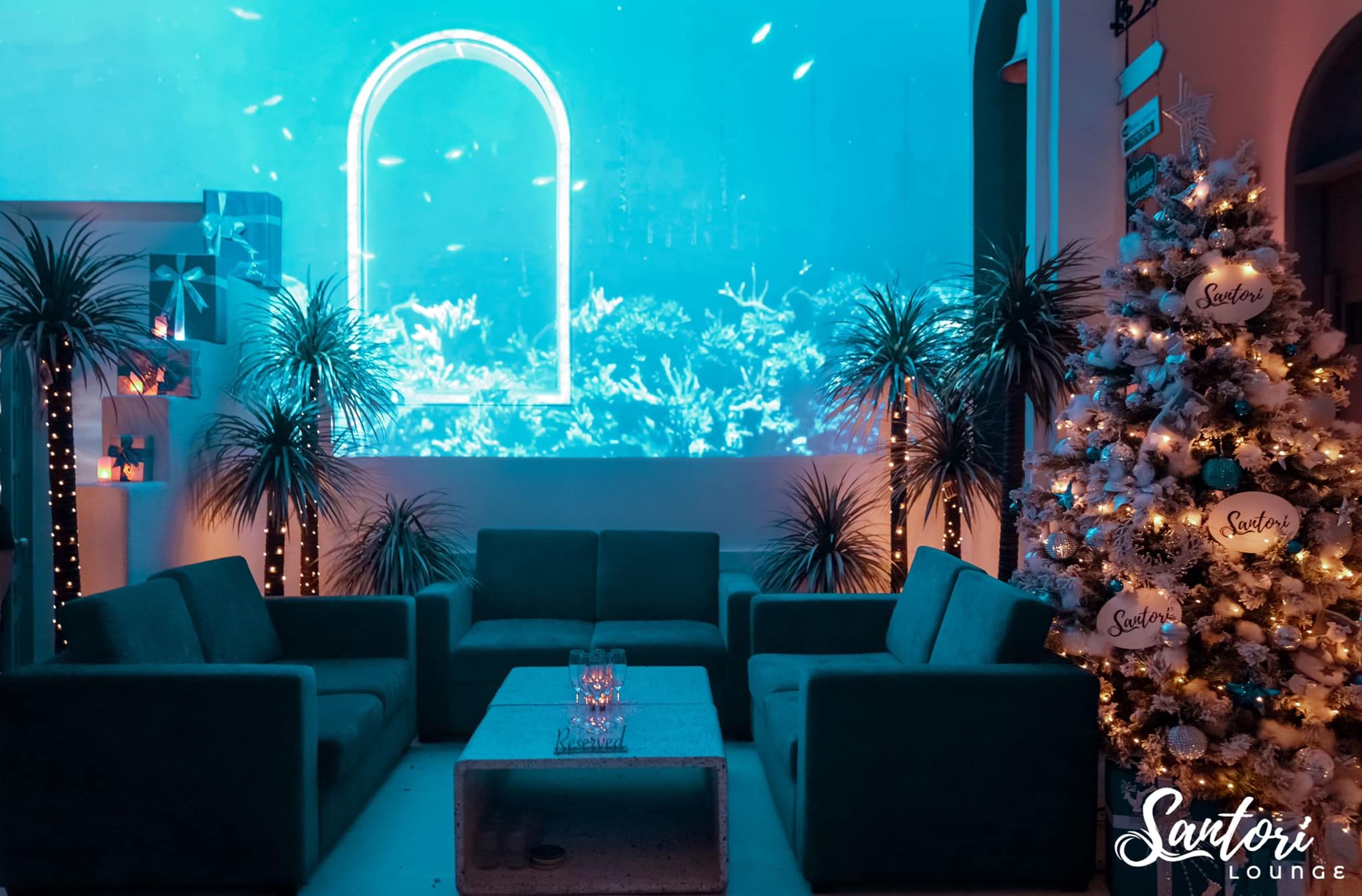 Santori Lounge - 24 Đông Du