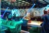 Elite Club - 18 Thủ Khoa Huân