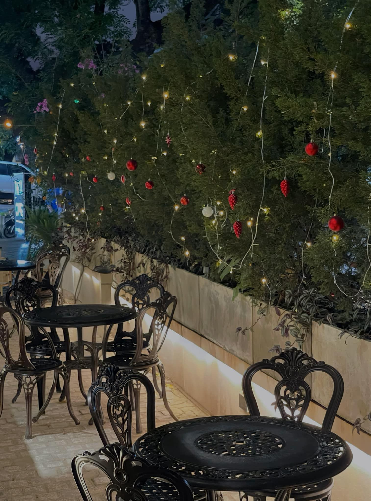 The XX - CH01 Vinaconex 7 - 136 Hồ Tùng Mậu