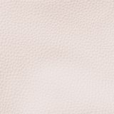 Giày Boots Nữ Cao Cổ Mũi Nhọn CHRISTINA-Q BON006F