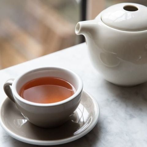 Pro Tea 600ml Teapot with Infuser