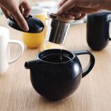 Pro Tea 900ml Teapot with Infuser