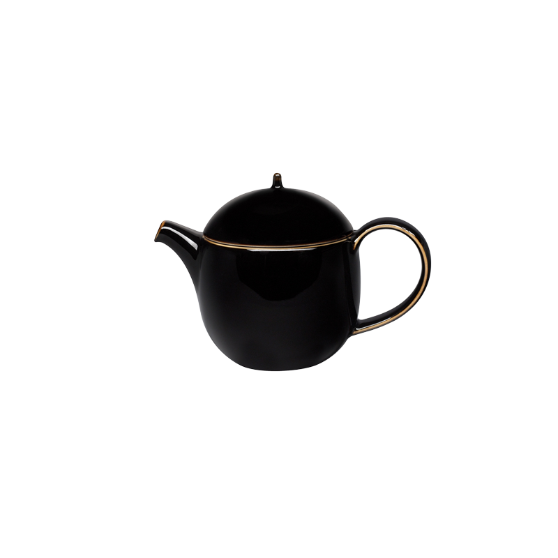 STUDIO TENMOKU - 0.4L TEAPOT WITH INFUSER (BLACK)