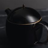 STUDIO TENMOKU - 0.4L TEAPOT WITH INFUSER (BLACK)