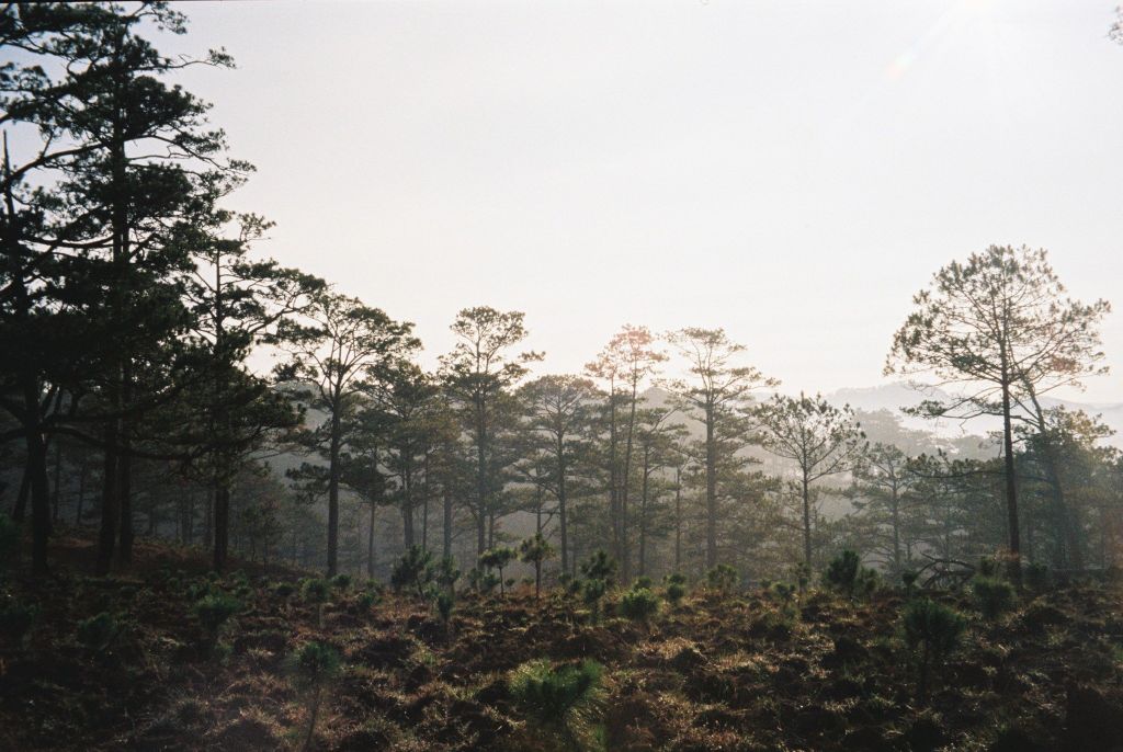 FUJI C400 36exp ISO 400 date xa - Film 35mm hộp lẻ 1 cuộn Fuji C400