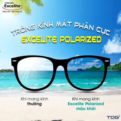  Tròng Kính Mát Phân Cực Chống Lóa Excelite PolarView 1.50 HMCS 