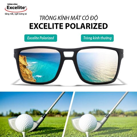  Tròng Kính Mát Phân Cực Chống Lóa Excelite PolarView 1.50 HMCS 